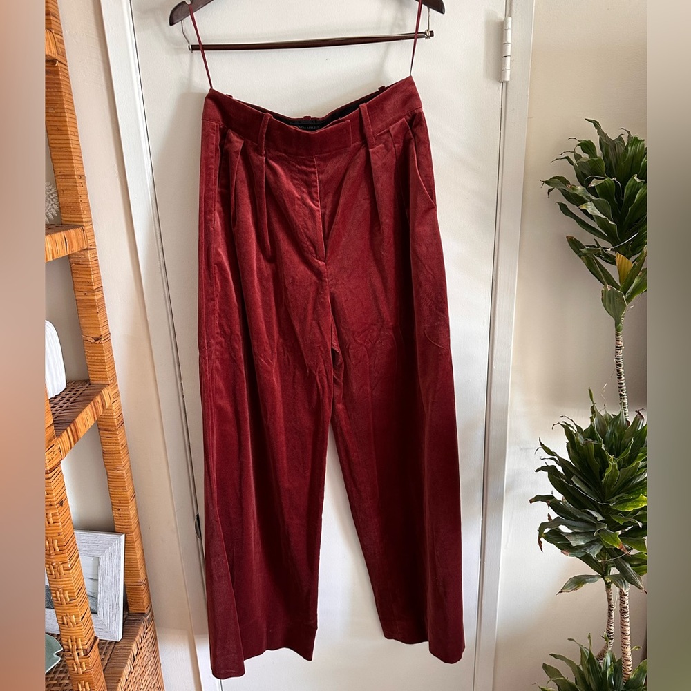 Banana Republic velour pants